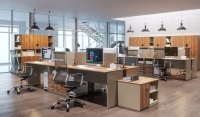 Коллекция «Work» 